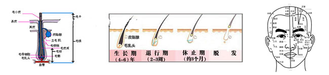 深圳美发学校